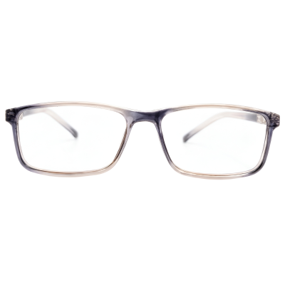 Frost Grey Crystal Dual-Tone Eyeglasses