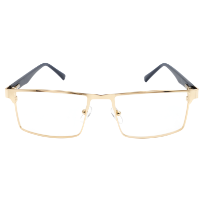 Aurelius Crest Browline Eyeglasses