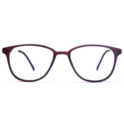 Brown & Gold Side Full Rim Square-Oval Sheet Eyewear
