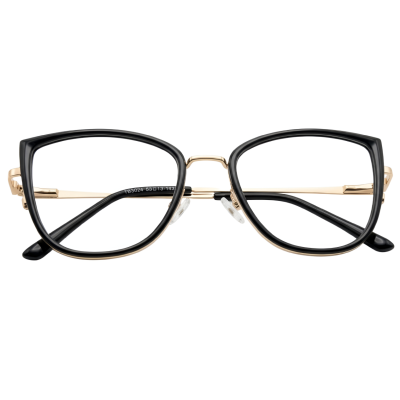 Urban Stainless Steel Modified Eyeglasses