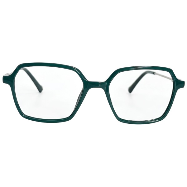 Nations Optics Geo-Chrome Hexagon Eyeglasses