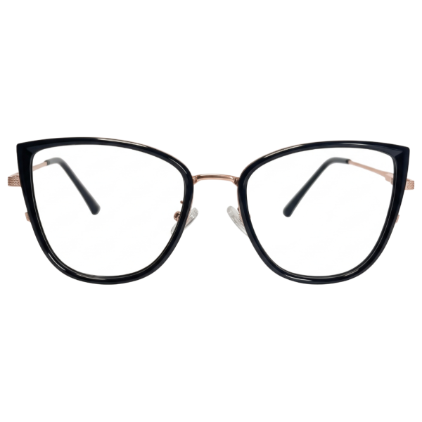 Urban Stainless Steel Modified Eyeglasses